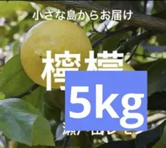 瀬戸田レモン 5kg箱 - メルカリ