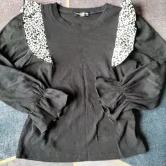 Item thumbnail for item 8d165509-ccbb-4dc7-b9d5-c185ae03d4bc