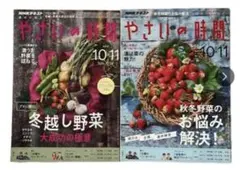 NHKテキスト やさいの時間 2018年・2019年 10・11月号 2冊セット