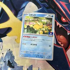 しめりけ　コダック ジムプロモ