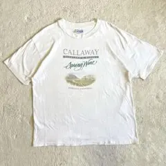 90s vintage USA シングルステッチ　カリフォルニア　Tシャツ　XL