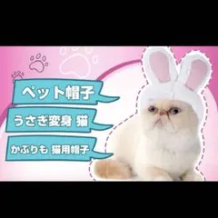 犬 猫 ウサギの帽子 うさぎ かぶりもの 3色 小型犬 干支 ハロウィン