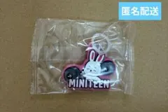 SEVENTEEN MINITEEN めじるしアクセサリー　ガチャ　エスクプス