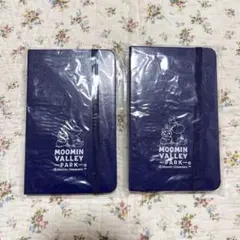 Item thumbnail for item 808c624d-7f18-45a0-af7c-200ecf5b2805