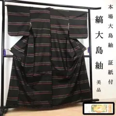 新古品！本場縞大島紬＊大島紬美幸＊京友禅＊屋久杉染＊琉球藍泥＊着物＊１６８ｃｍ 新古品！本場縞大島紬＊大島紬美幸＊京友禅＊屋久杉染＊琉球藍泥