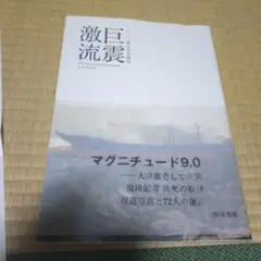 3・11東日本大震災巨震激流