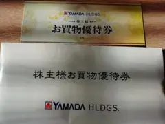 ヤマダ電機　 お買物優待券 ¥500円× 6枚　3000円分