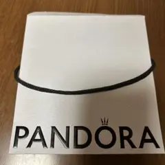 PANDORA 紙袋のサムネイル