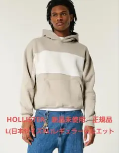 Hollister 新品未使用　L(日本サイズXL)
