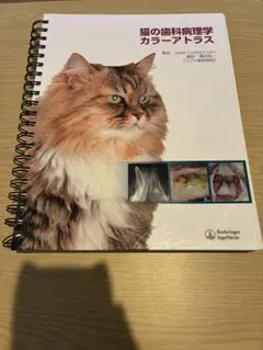 獣医 小動物　猫の歯科病理学カラーアトラス