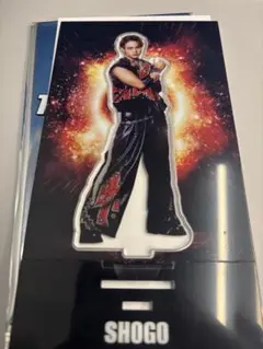 岩谷翔吾 アクスタ①