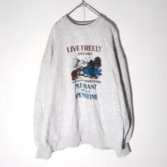 Item thumbnail for item c1890352-16ca-456e-ab90-1894ab58c3c4