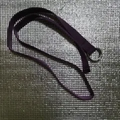 Item thumbnail for item e5e12bb7-3723-493e-98ba-7deb95fa7e2b