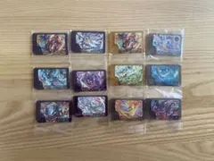 ポケモンフレンダ スーパートレジャー12点