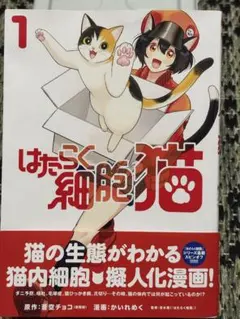 Item thumbnail for item 4f7a9c65-a971-4f59-b916-1d55b909132c