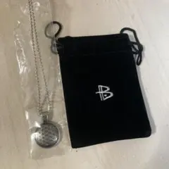 POWER BALANCE ネックレス 収納巾着付き