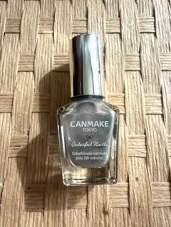 新品未開封　CANMAKE カラフルネイルズ N48