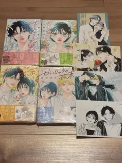 かいじゅうの花束 1〜4巻　雨花深衣　初版帯付き　特典あり