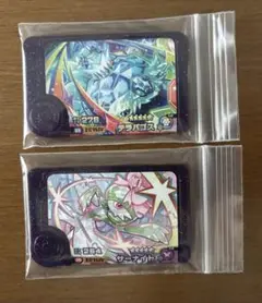 ポケモンフレンダ　テラパゴス　サーナイト　テラスタルセット