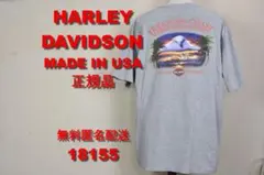 XLサイズ】ハーレーダビッドソン ノースリーブ バックロゴ 両面