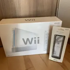 Nintendo Wii RVL-S-WA
