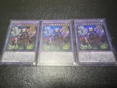 ディアクトロス