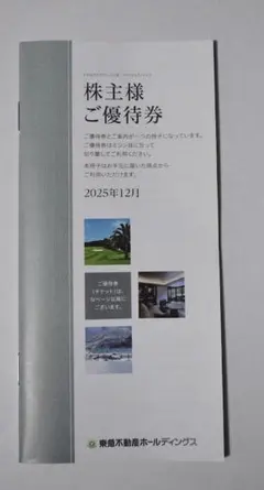 東急不動産ホールディングス優待券　100株分 最新2025.12発行