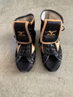 Item thumbnail for item 620a283e-dc0b-4395-b238-c641de8ad2f8