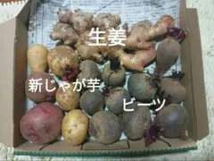 野菜（ビーツ、生姜、新じゃがいも）