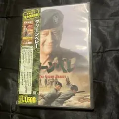 グリーンベレー('68米)