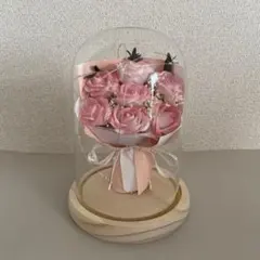 ガラスドーム ガーデニング