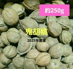 殻付き鬼胡桃[令和7年度産 箱込約850g]鬼くるみ クルミ餅 ペーストなど