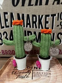 はるりお様専用オーダー毛糸サボテン2点
