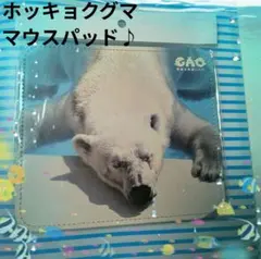 ✨男鹿水族館GAO✨お昼寝 ホッキョクグマ♥シロクマ♥白クマ♥白熊♥マウスパッド