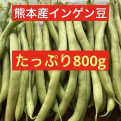 6/5収穫・発送】訳あり 絹さやえんどう 600g 福島県産 - メルカリ