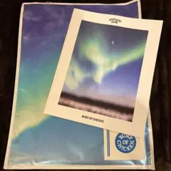 BUMP OF CHICKEN ライブツアー　aurora arkパンフレット