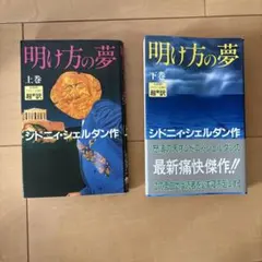 シドニーシェルダン　明け方の夢