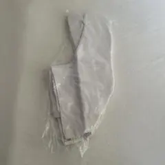 Item thumbnail for item b1387415-282c-4568-98c9-a286758d96be