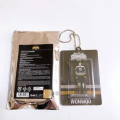 SEVENTEEN HOME 2025 アクリルキーリング ウォヌ WONWOO