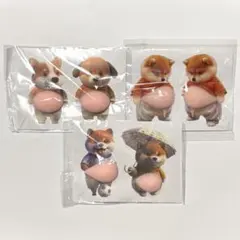 おなかぷにぷに立体シール 柴犬 3D スクイーズ 可愛い 癒し系 メタボ犬