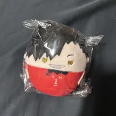 ハイキュー!! ふわコロりん 黒尾鉄朗
