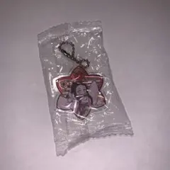 鬼滅の刃　ねずこ　ステンドグラス風アクリルキーホルダー　くら寿司びっくらポン