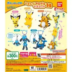 ポケットモンスター ピチュー ピカチュウ セット