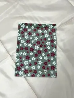 Item thumbnail for item c866f618-fafe-432e-a4d6-be585f17258f