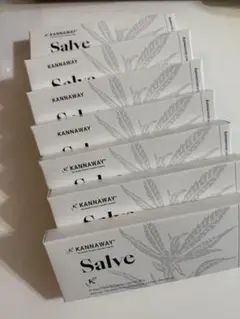 キャナウェイ　トラベルサルヴェ 2026年最新】kannaway salveの人気アイテム - メルカリ