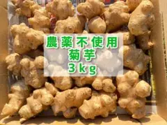 【農薬不使用】菊芋3kg
