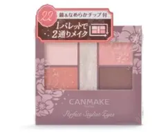 【生産終了品】キャンメイクパーフェクトスタイリストアイズv 22