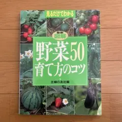 Item thumbnail for item 135f949b-3a30-49f8-b4cc-474bc76efd8b