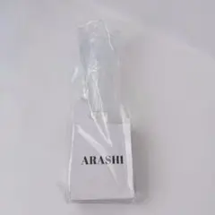 新品未開封 ARASHI ペンライト 2026 2本