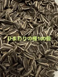 ひまわりの種 100個のサムネイル